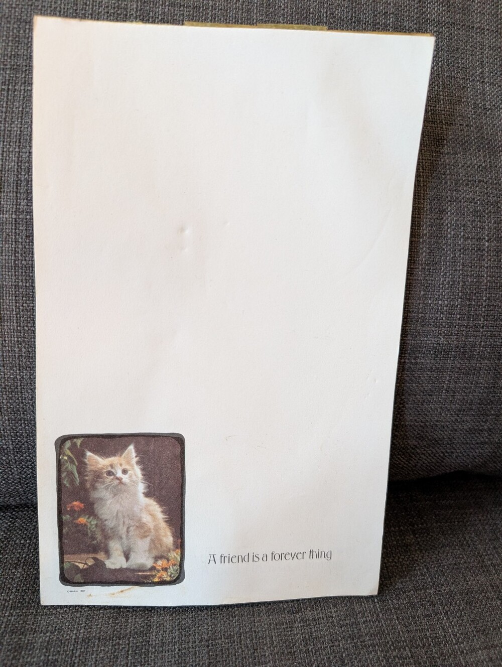 Vintage Cat & Dog Notepad!